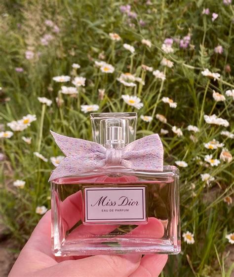 dior punmiris